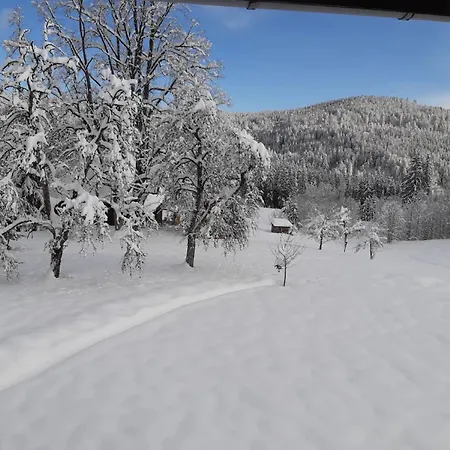 Haus Heimrich Appartement Todtmoos