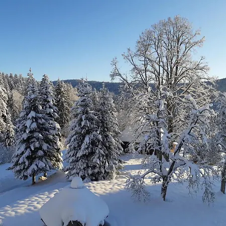 Haus Heimrich Appartement