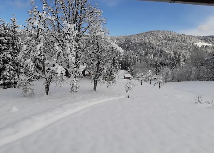 Haus Heimrich Lägenhet Todtmoos